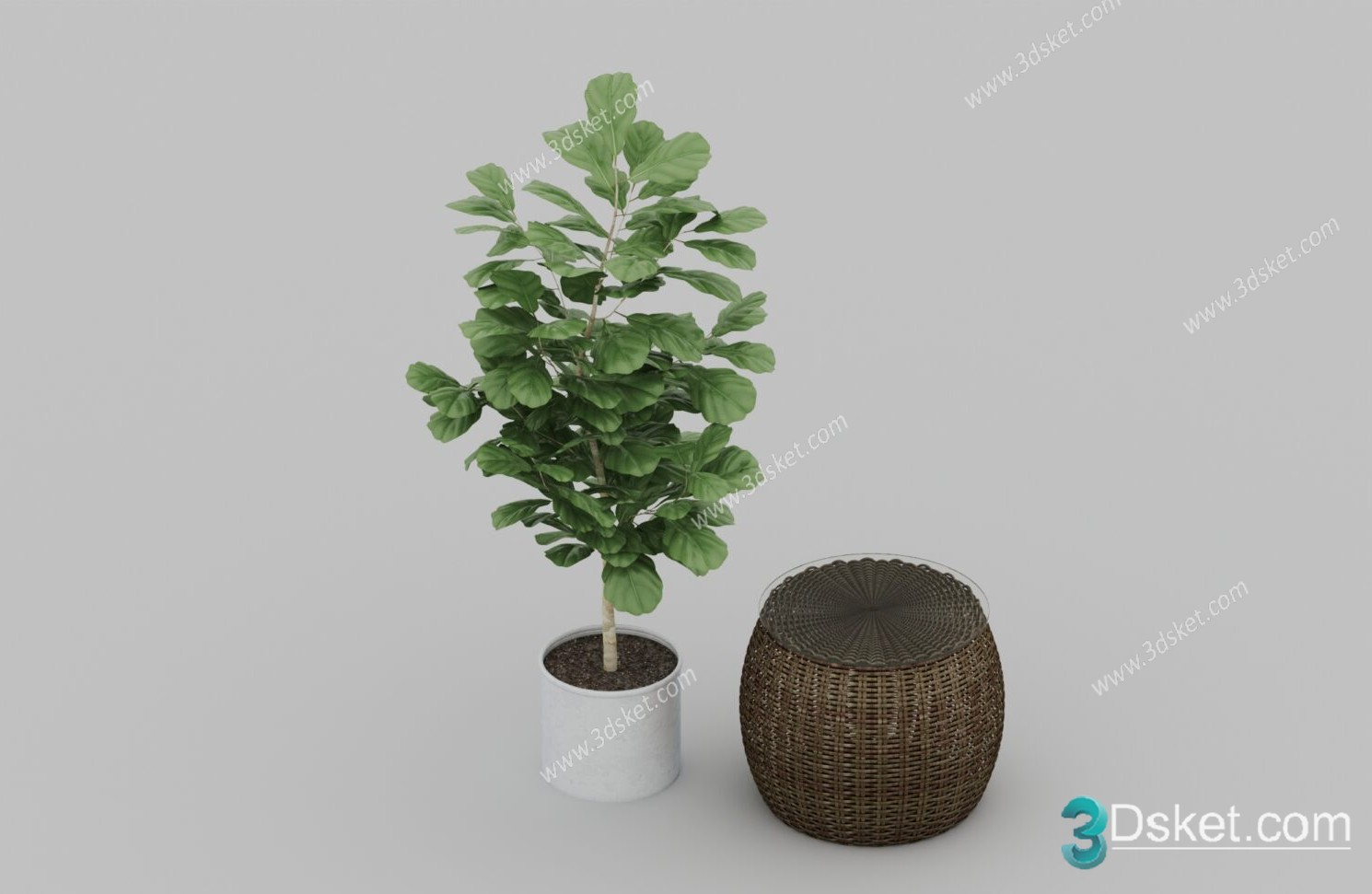 3D Model Tree Free Download T044