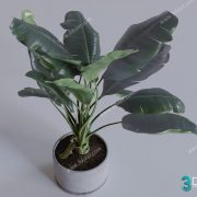 3D Model Tree Free Download T005