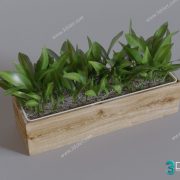 3D Model Tree Free Download T006