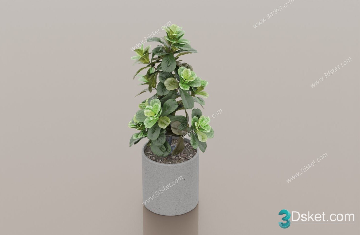 3D Model Tree Free Download T007