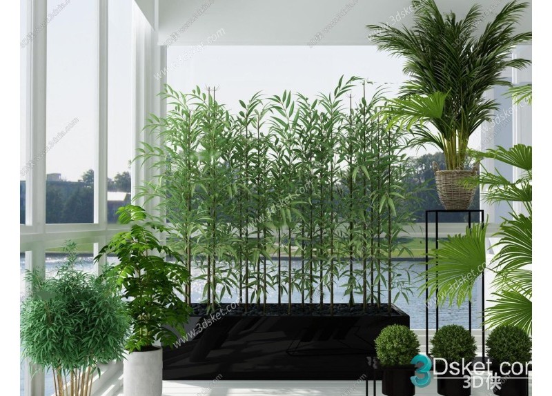 3D Model Indoor Plants Free Download 007