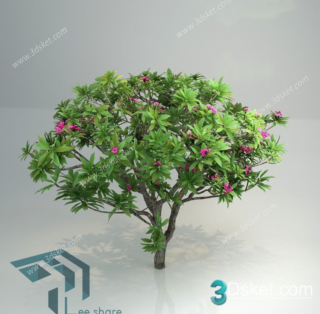 3D Model Outdoor Plants Free Download 006