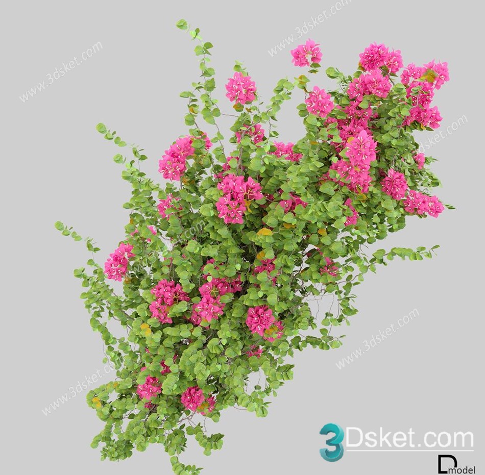 3D Model Outdoor Plants Free Download 010