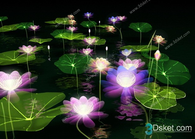 3d Lotus Flower Model Free Download 015