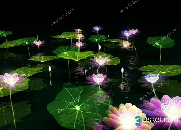 3d Lotus Flower Model Free Download 015