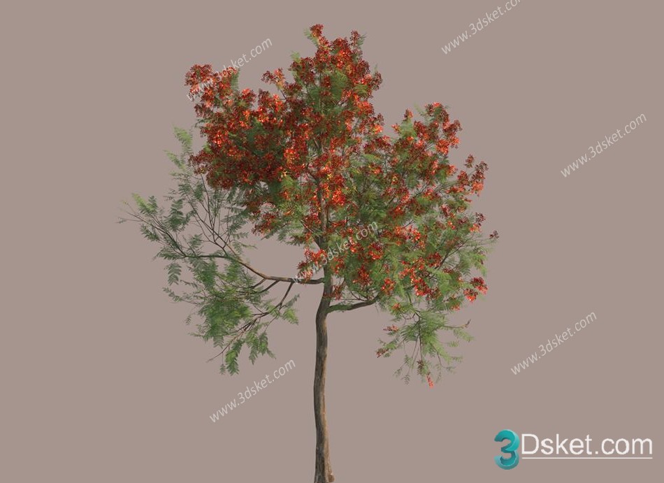 3d Phoenix Tree Plants Model Free Download 017