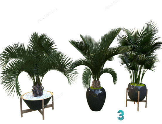 3D Model Outdoor Plants Free Download 020