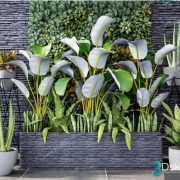 3D Model Indoor Plants Free Download 013