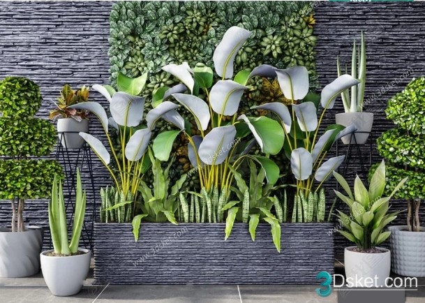 3D Model Indoor Plants Free Download 013