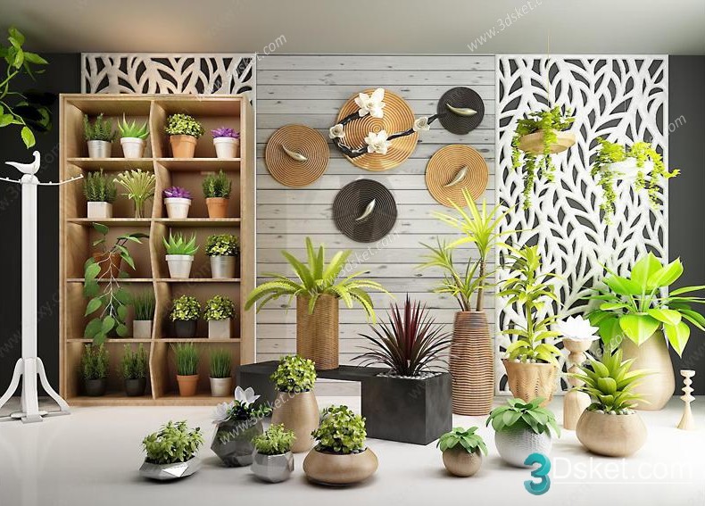 3D Model Indoor Plants Free Download 014