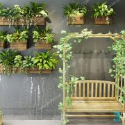 3D Model Indoor Plants Free Download 016