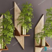 3D Model Indoor Plants Free Download 020