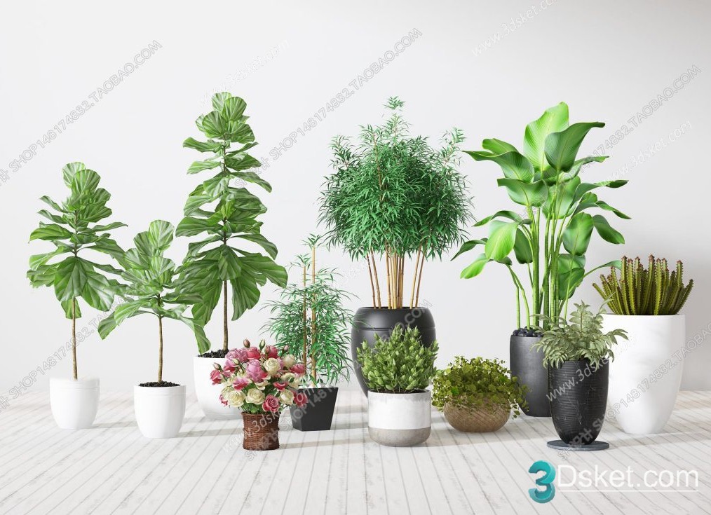 3D Model Indoor Plants Free Download 022