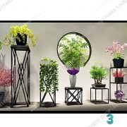 3D Model Indoor Plants Free Download 023