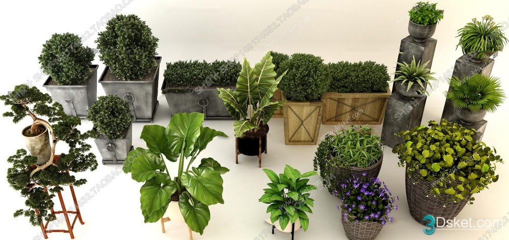 3D Model Indoor Plants Free Download 025