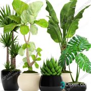 3D Model Indoor Plants Free Download 028