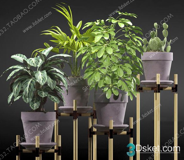 3D Model Indoor Plants Free Download 031