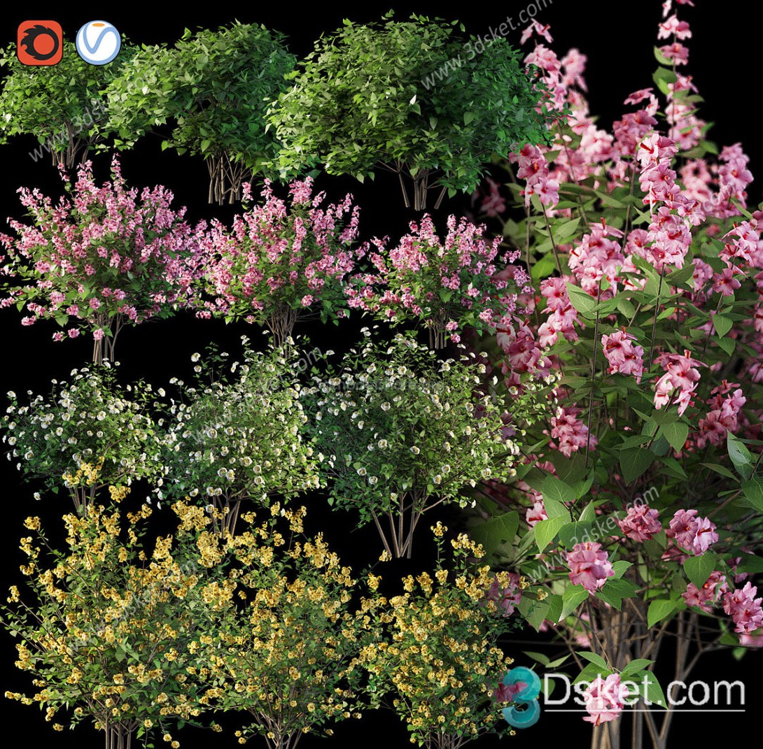 3D Model Outdoor Plants Free Download 024