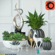 3D Model Indoor Plants Free Download 034