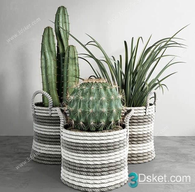 3D Model Indoor Plants Free Download 035 - Download 3D Model Free