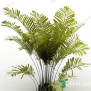 3D Model Outdoor Plants Free Download 025
