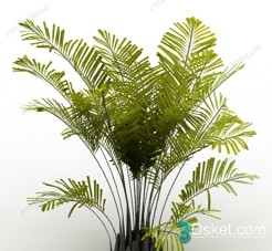 3D Model Outdoor Plants Free Download 025