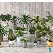 3D Model Indoor Plants Free Download 038