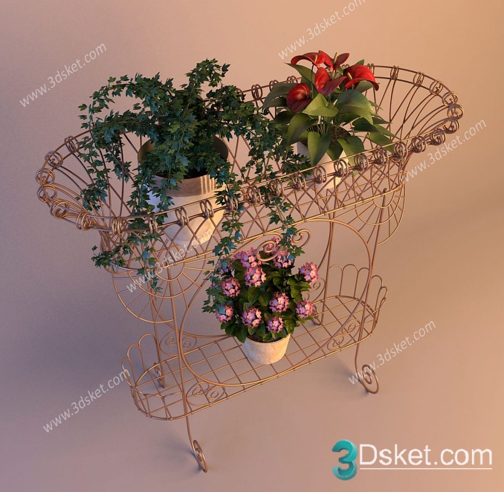 3D Model Indoor Plants Free Download 040
