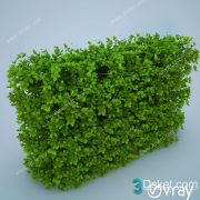 3D Model Outdoor Plants Free Download 026
