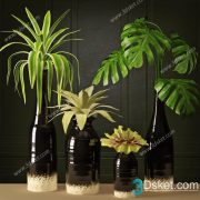 3D Model Indoor Plants Free Download 042