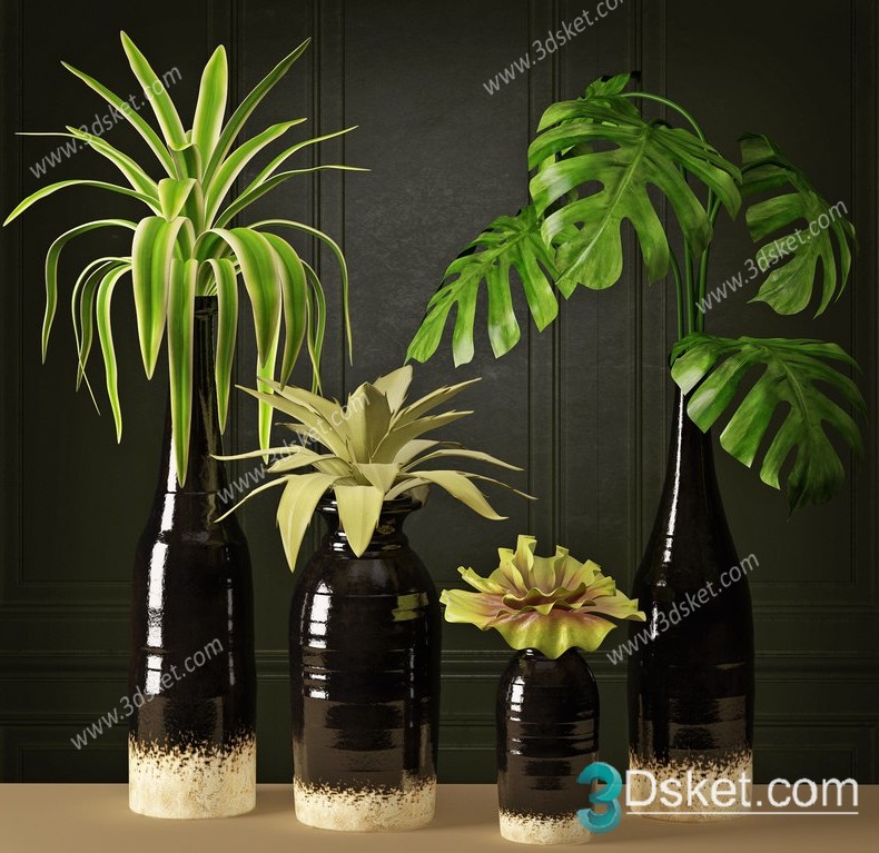 3D Model Indoor Plants Free Download 042