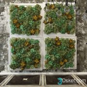 3D Model Indoor Plants Free Download 044