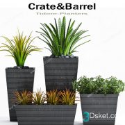 3D Model Indoor Plants Free Download 045
