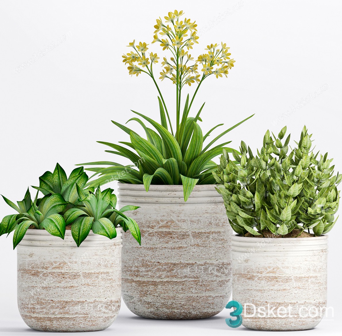 3D Model Indoor Plants Free Download 046