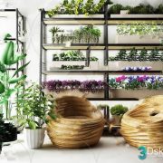 3D Model Indoor Plants Free Download 047