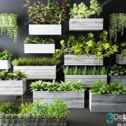 3D Model Indoor Plants Free Download 048