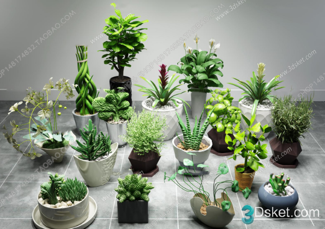 3D Model Indoor Plants Free Download 049