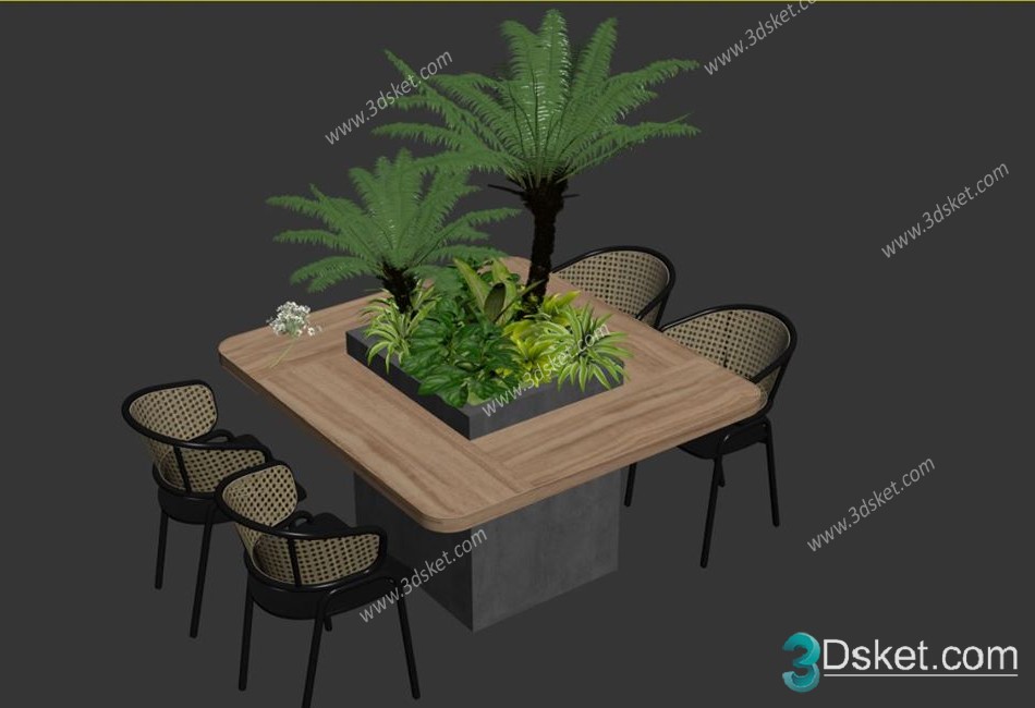 3D Model Indoor Plants Free Download 055