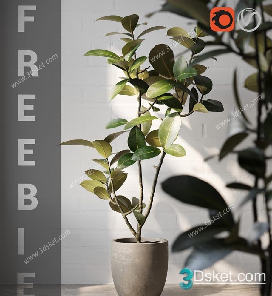 3D Model Indoor Plants Free Download 057