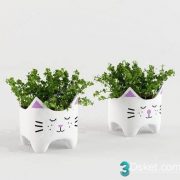 3D Model Indoor Plants Free Download 058