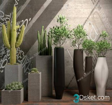 3D Model Indoor Plants Free Download 061