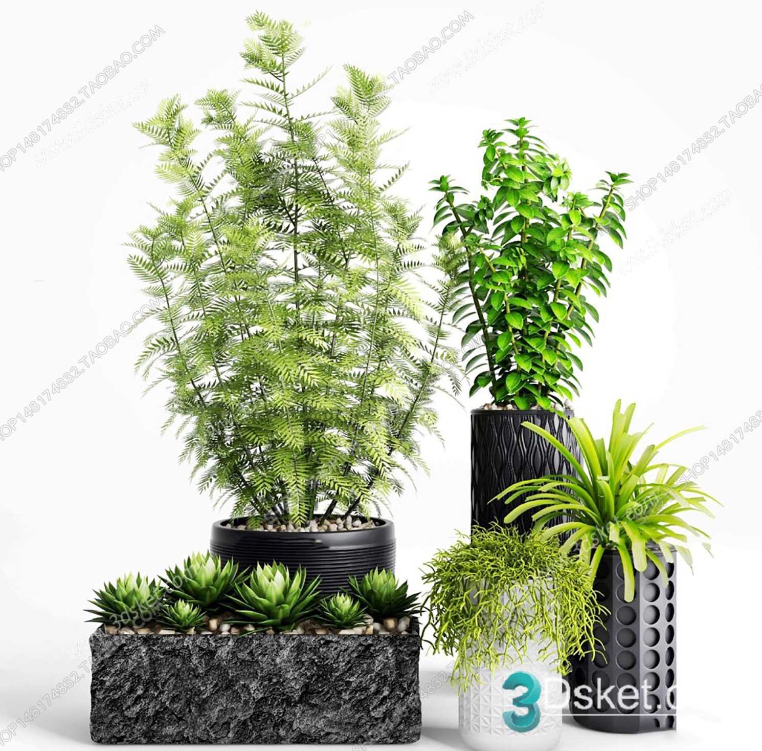 3D Model Indoor Plants Free Download 062