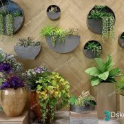 3D Model Indoor Plants Free Download 063