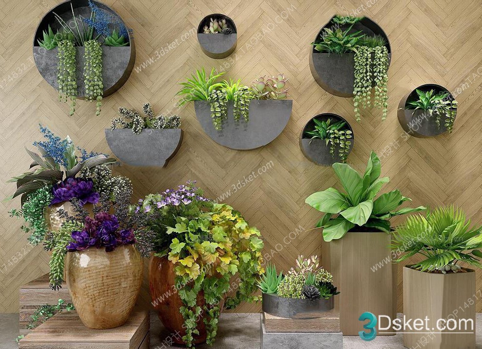 3D Model Indoor Plants Free Download 063