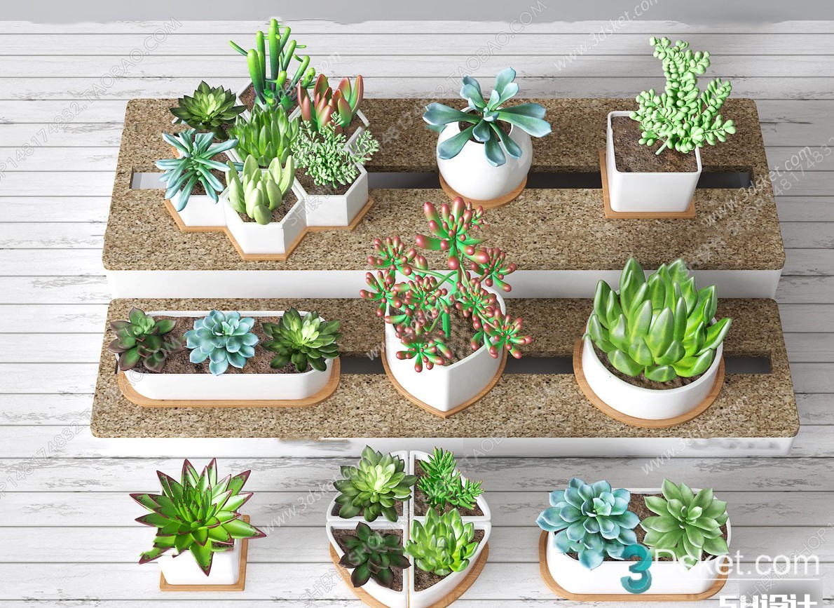 3D Model Indoor Plants Free Download 064