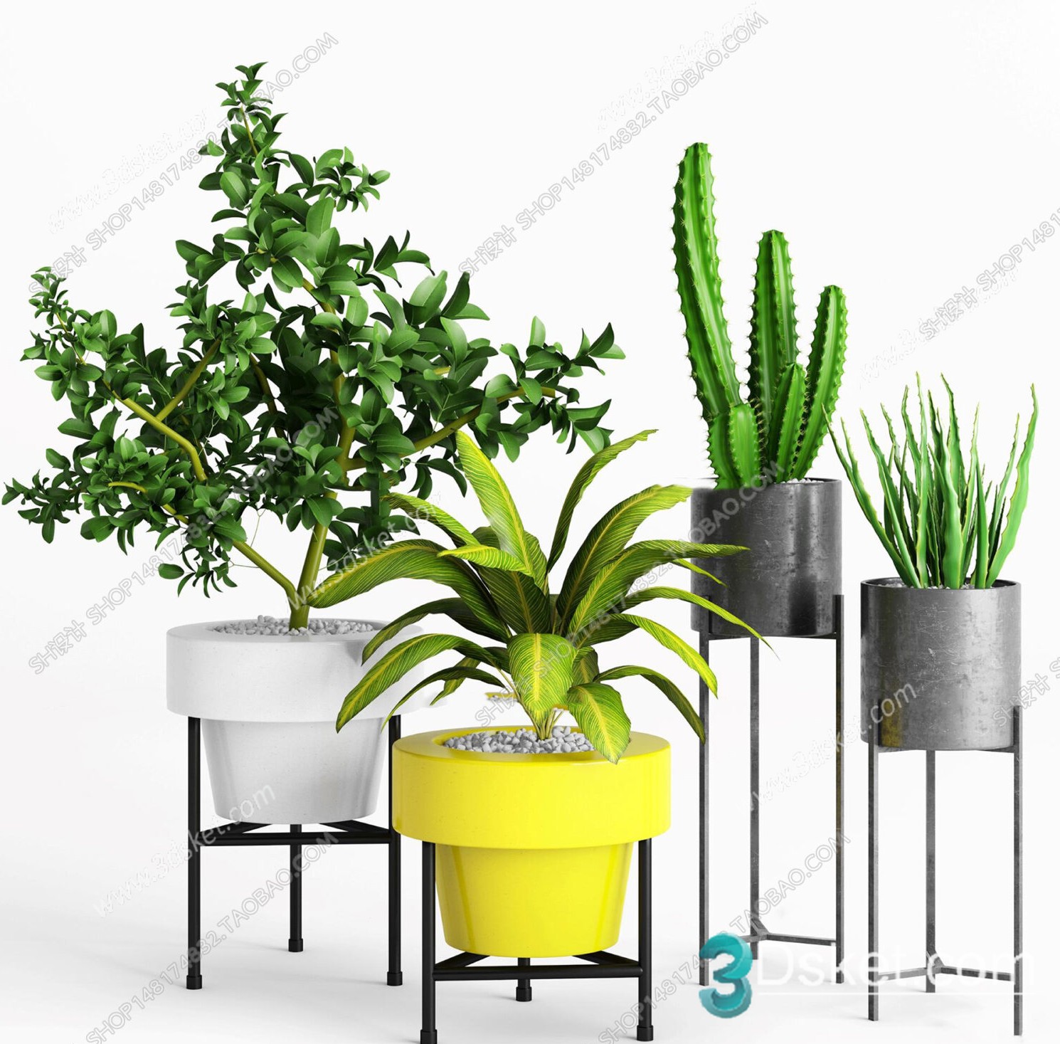 3D Model Indoor Plants Free Download 065