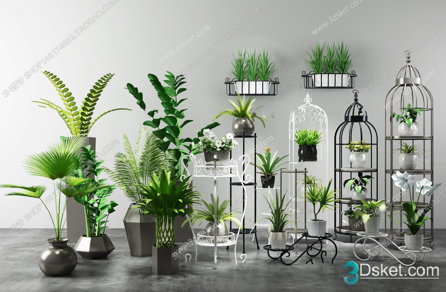 3D Model Indoor Plants Free Download 066