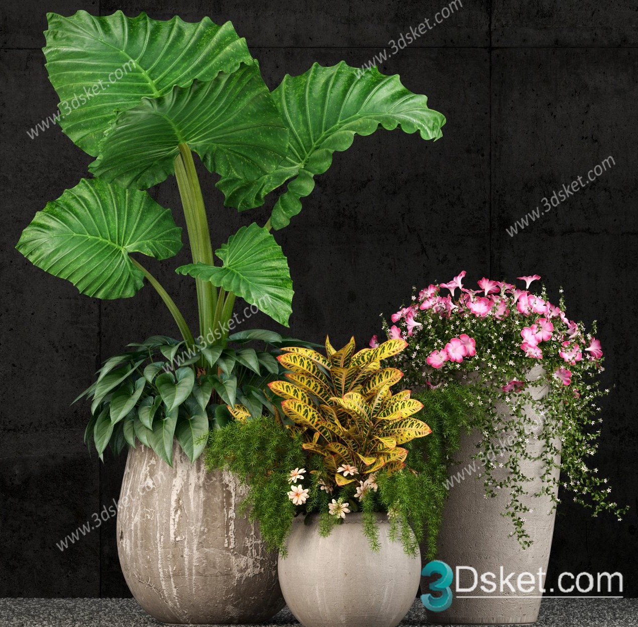 3D Model Indoor Plants Free Download 067