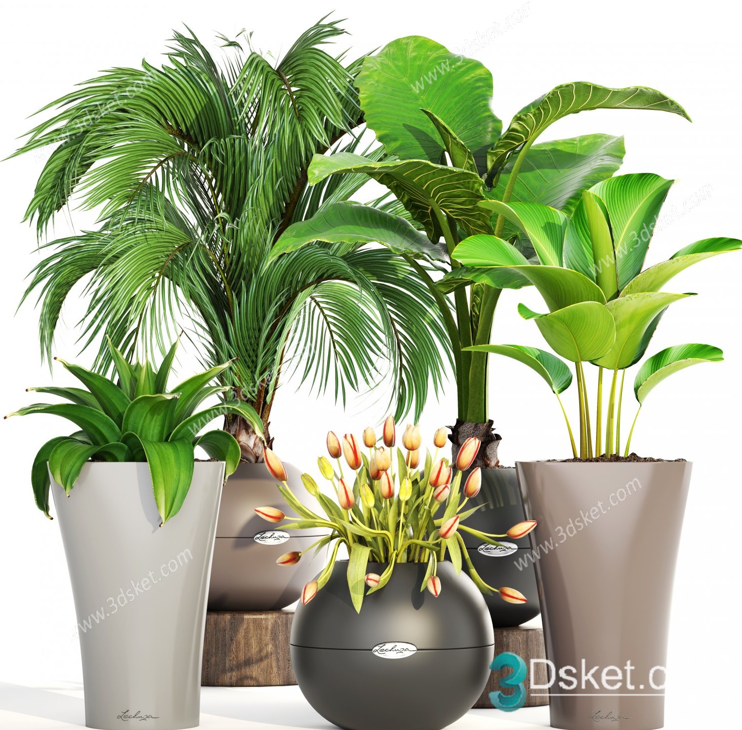 3D Model Indoor Plants Free Download 068