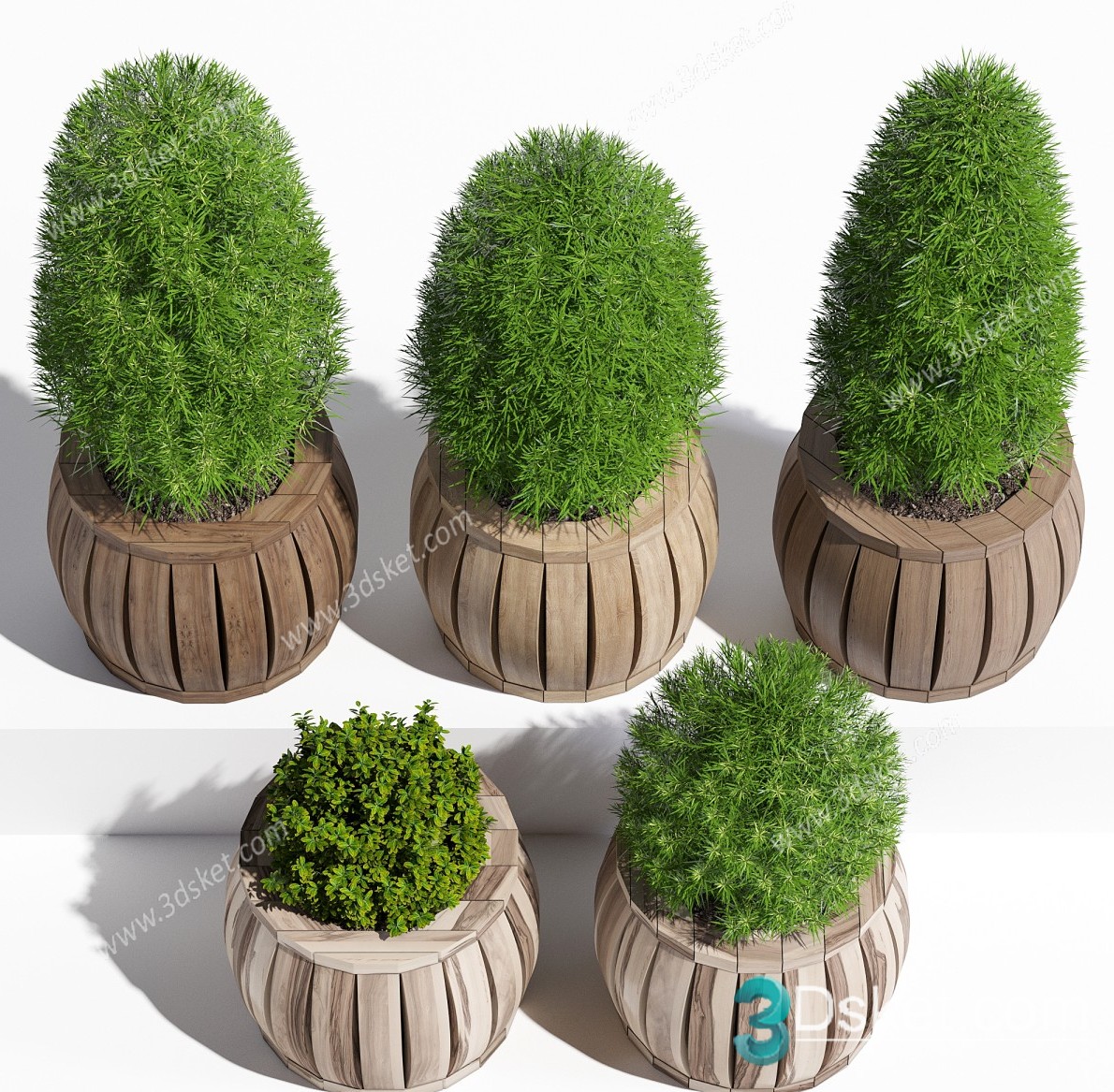 3D Model Indoor Plants Free Download 069